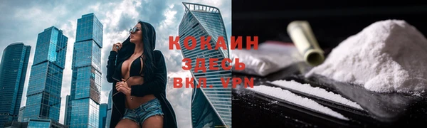 крисы Надым