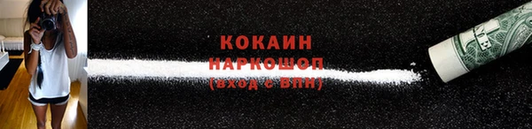 крисы Надым
