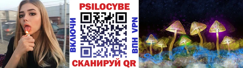 Купить где  Дмитров  Галлюциногенные грибы Cubensis 