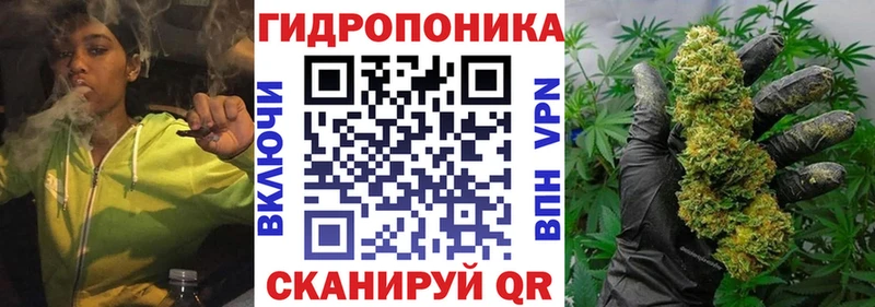 Бошки марихуана марихуана Купить закладки Дмитров
